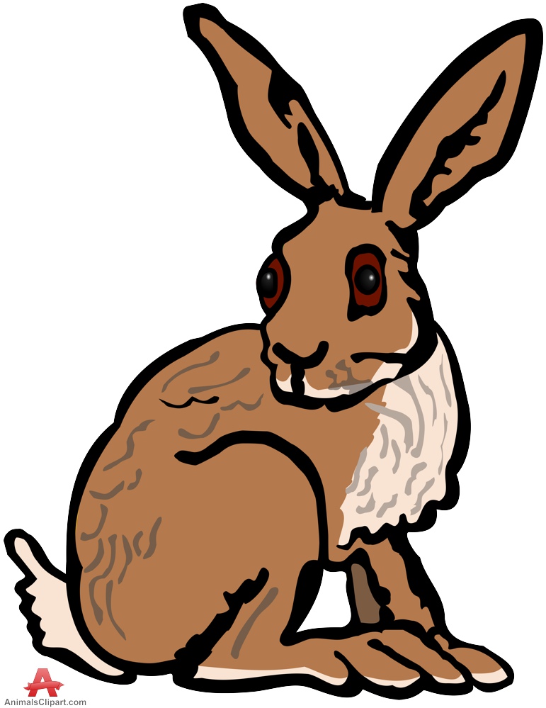 free cartoon rabbit clip art - photo #32