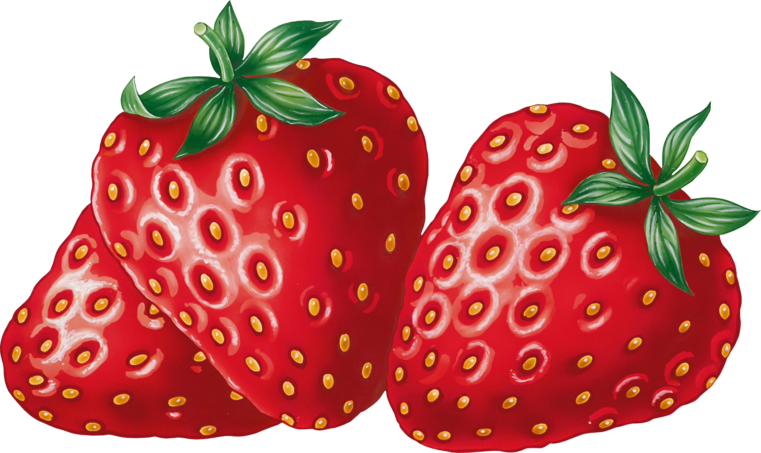 Strawberry clip art at vector clip art image 0 - Cliparting.com