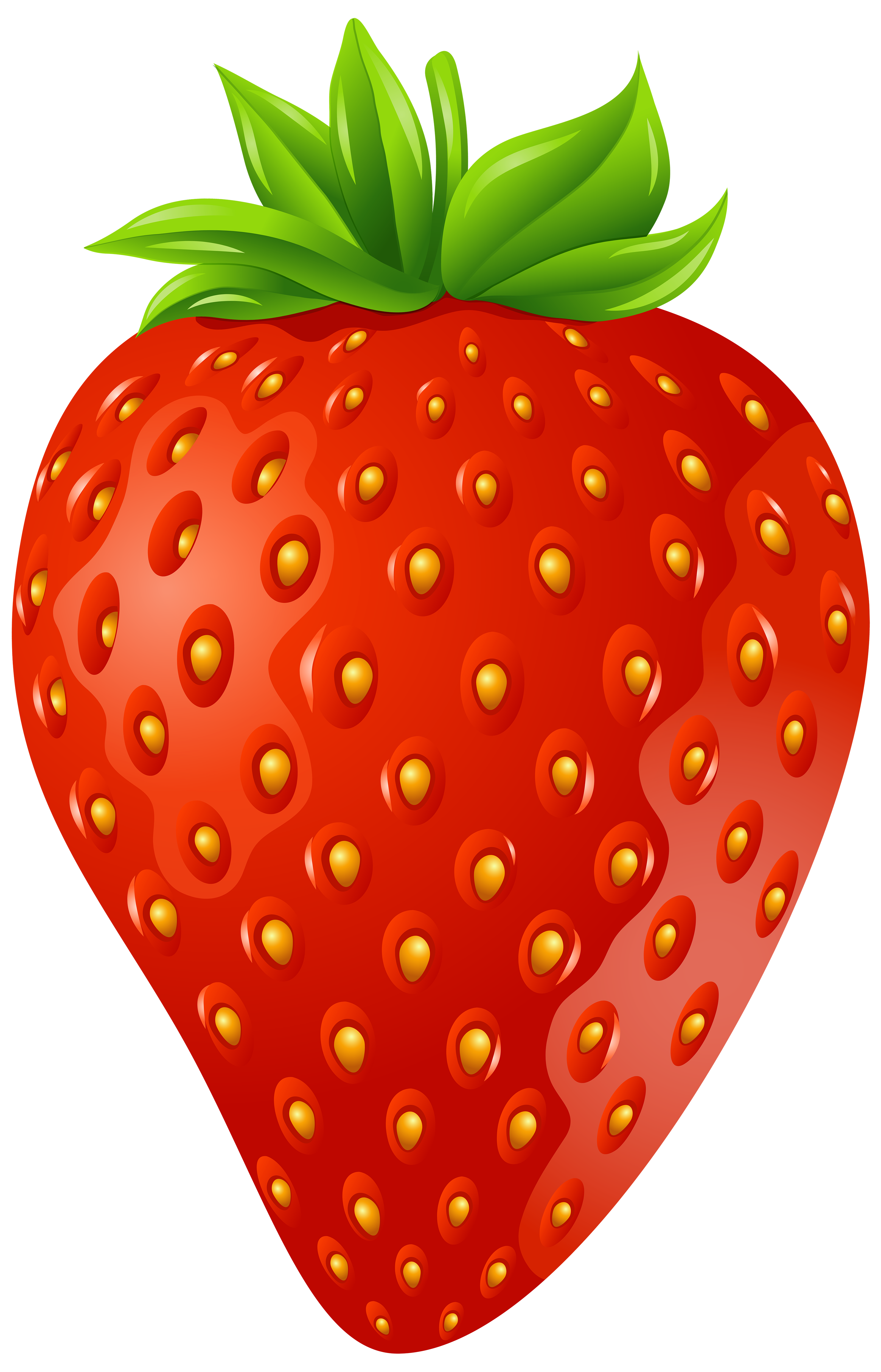 strawberry clipart vector - photo #46