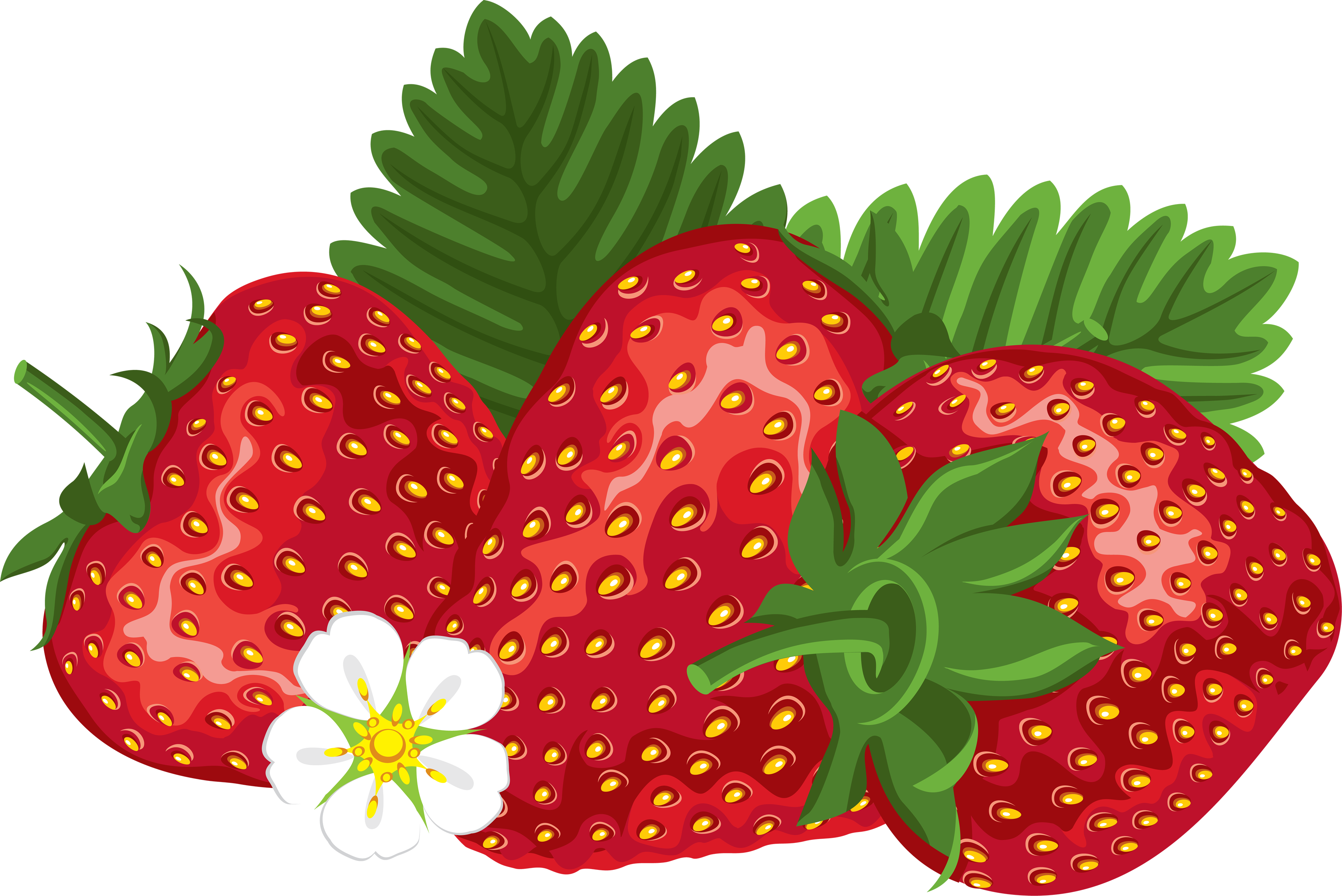 clipart of a strawberry - photo #29