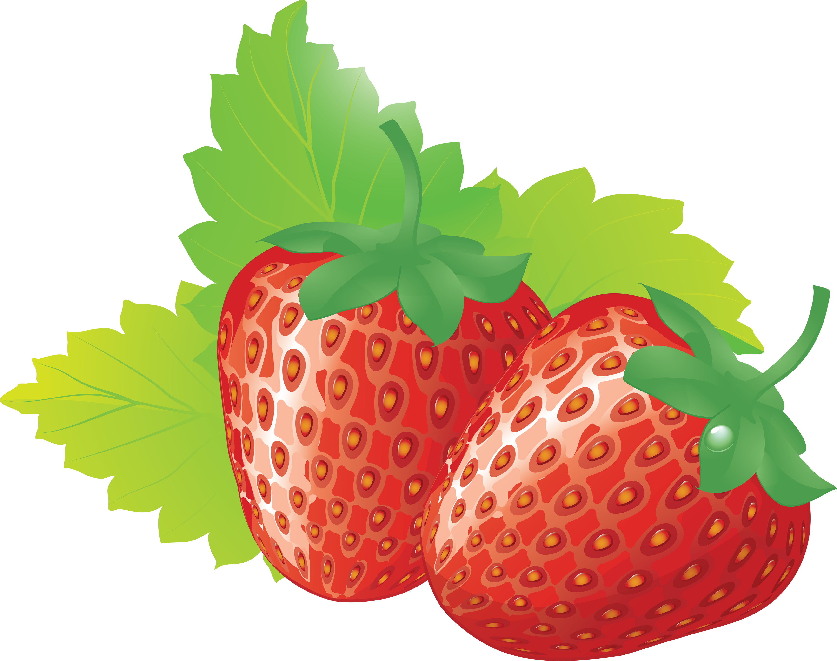 clipart for strawberry - photo #41