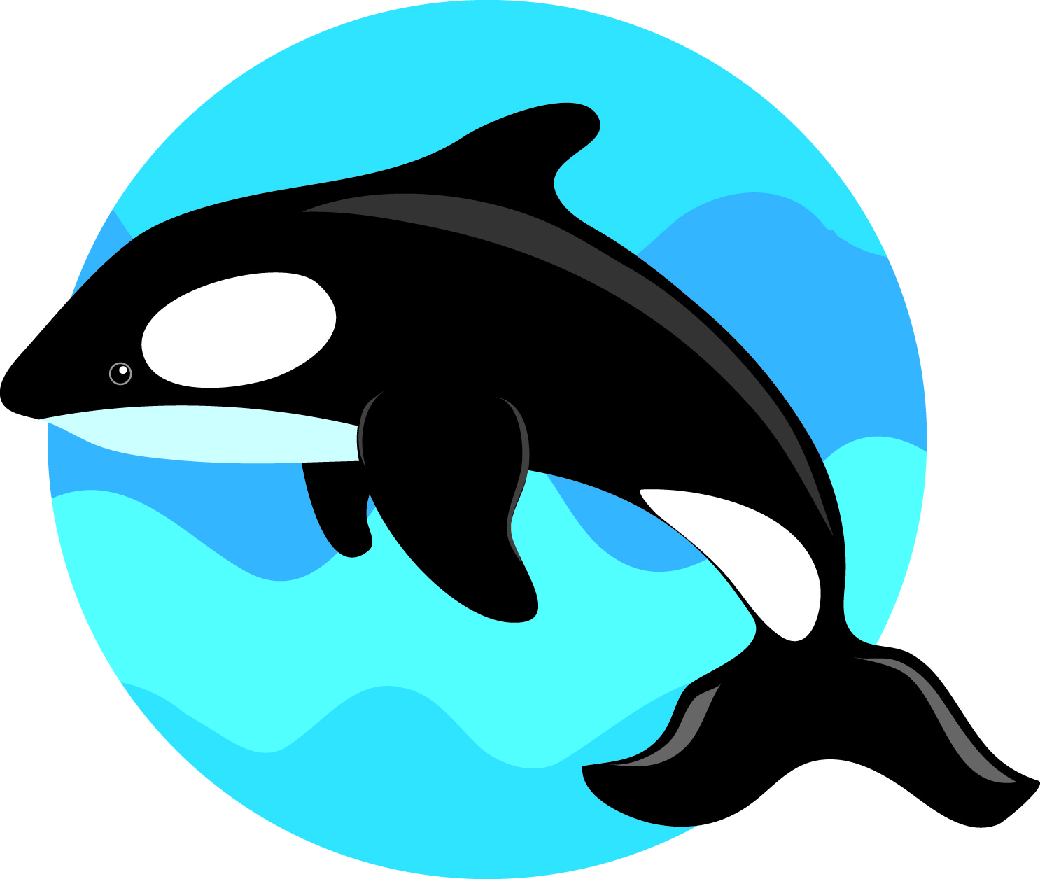 cartoon whale clip art - photo #47