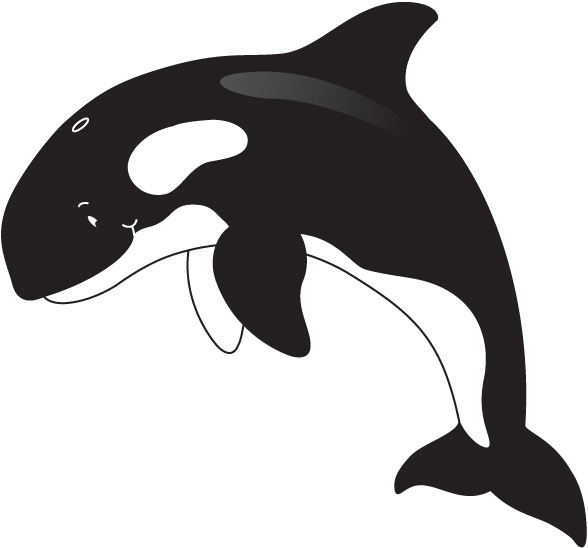 free whale clipart black and white - photo #37