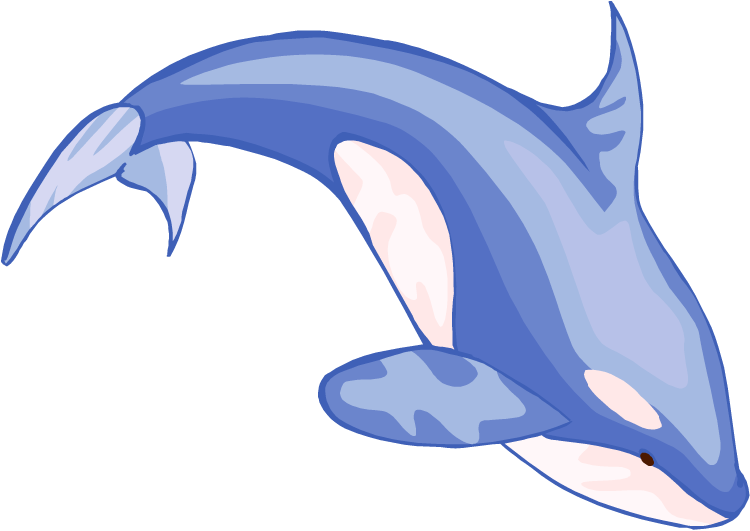 free animated whale clipart - photo #22