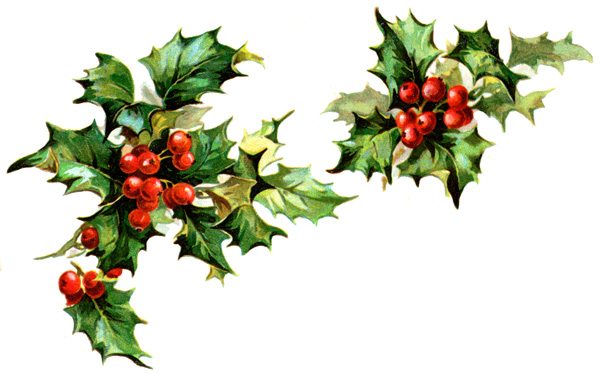 clipart of christmas holly - photo #36