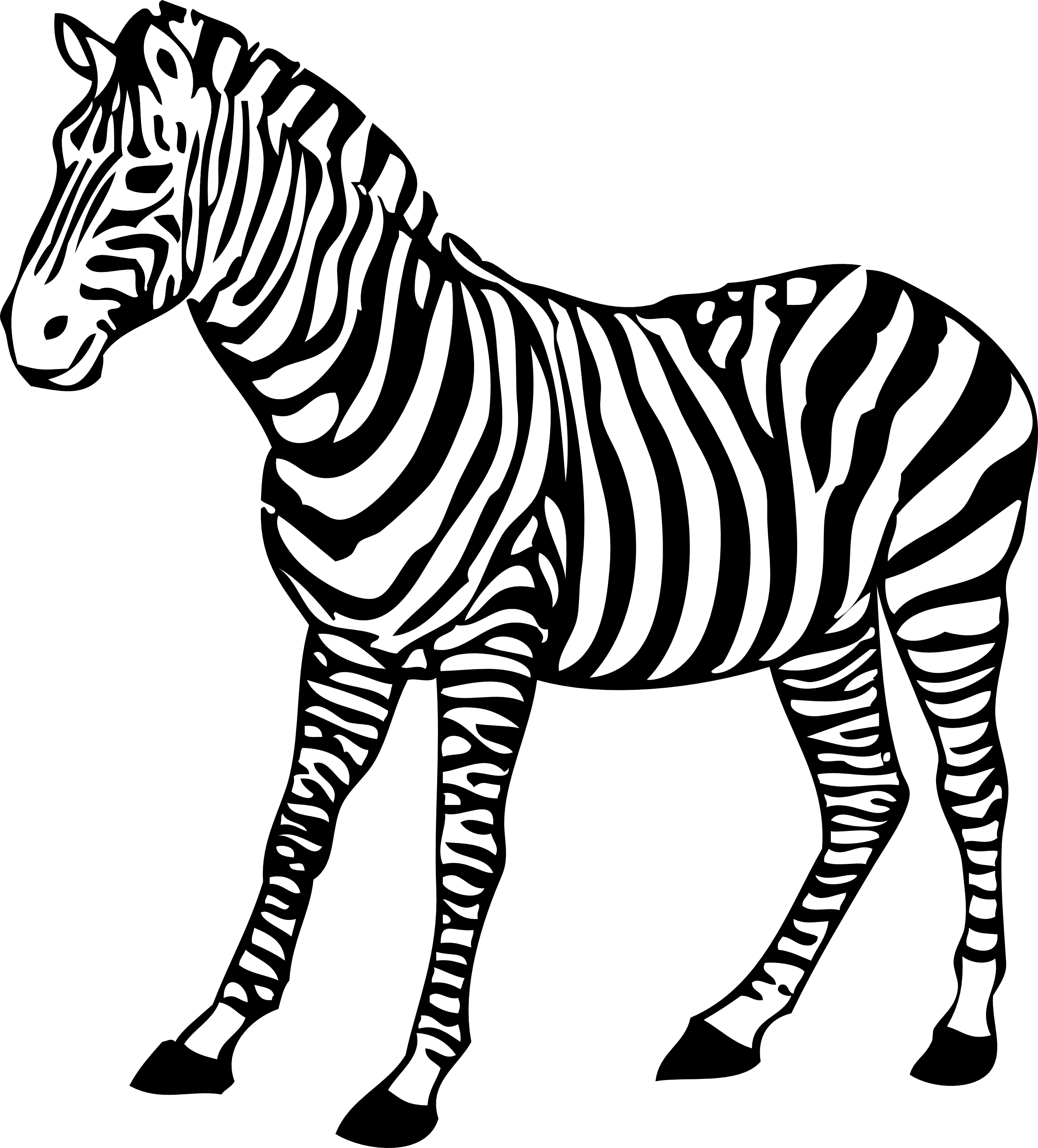 clipart black and white zebra - photo #13