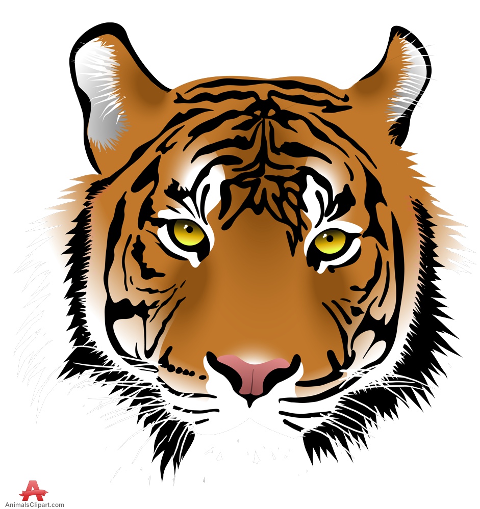 tiger animal clipart - photo #34