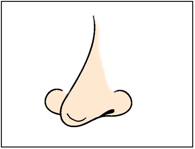 free animated clipart nose - photo #9
