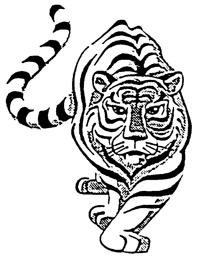 free clip art white tiger - photo #38