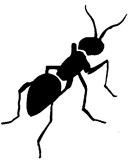 free ant clipart black and white - photo #2