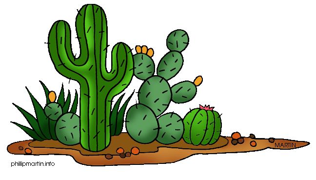 free black and white cactus clipart - photo #42