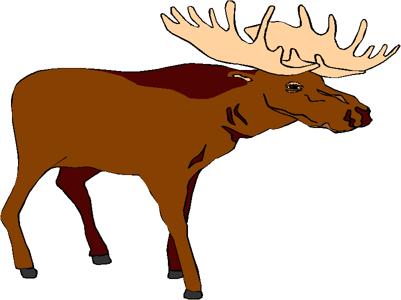 funny moose clipart - photo #26