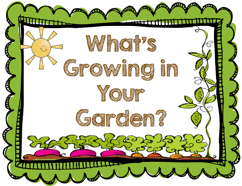 free garden clipart pictures - photo #42
