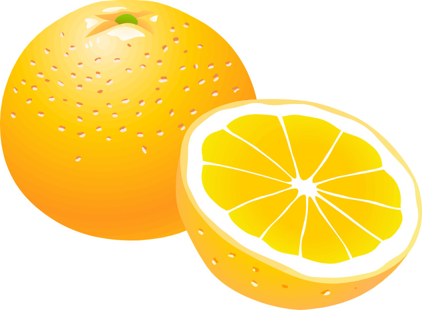 free clipart orange fruit - photo #21