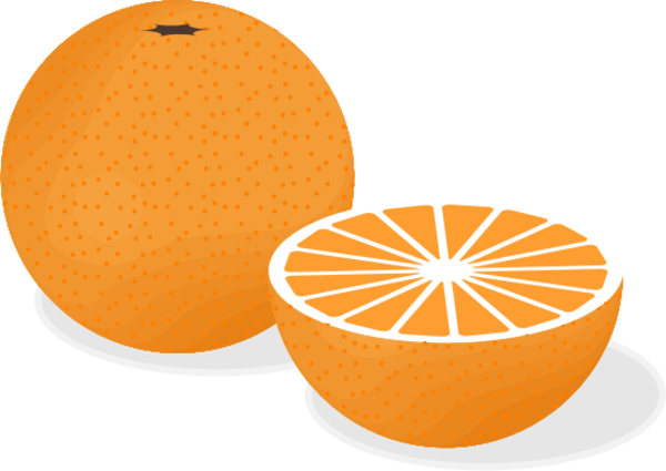 free clipart orange fruit - photo #30
