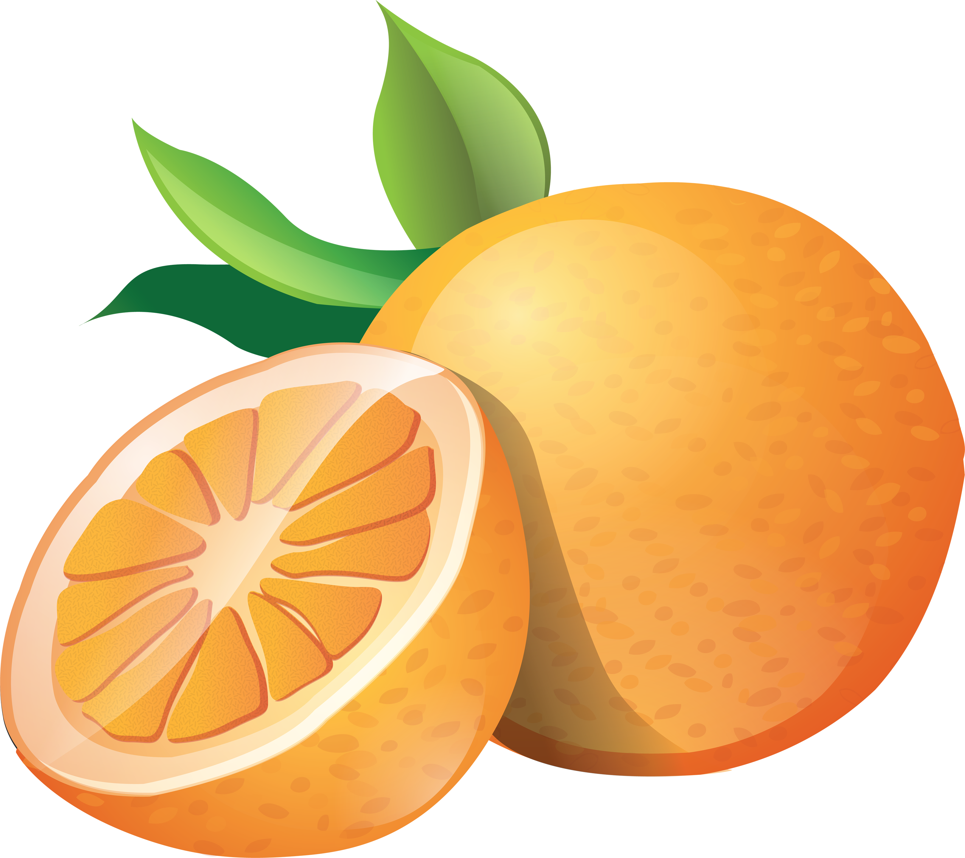 free clipart orange fruit - photo #14