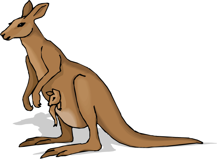 kangaroo clipart free download - photo #17