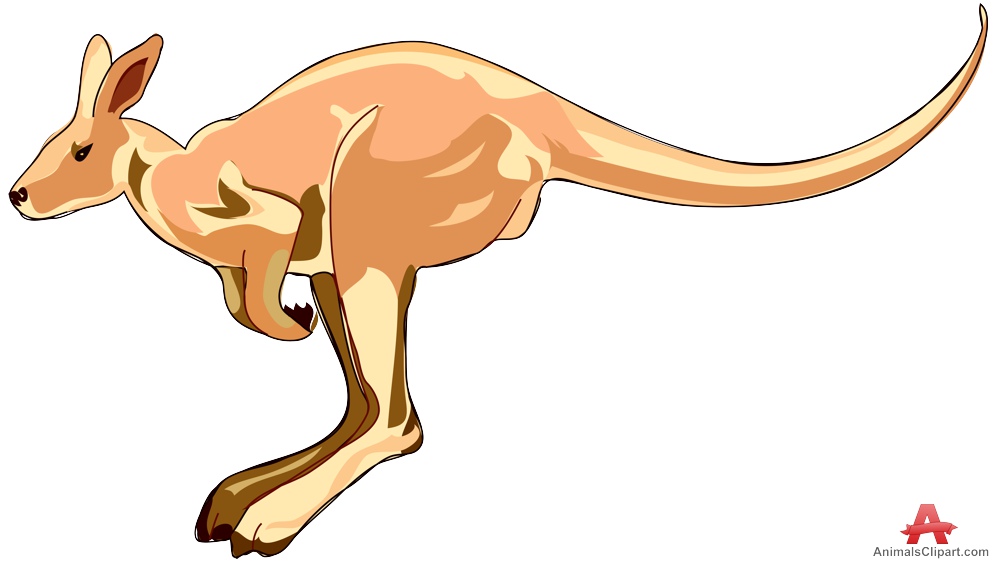 kangaroo clipart free download - photo #9