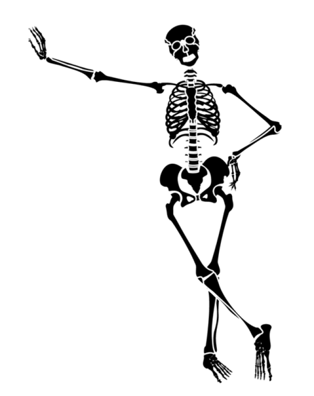 clipart human bones - photo #15