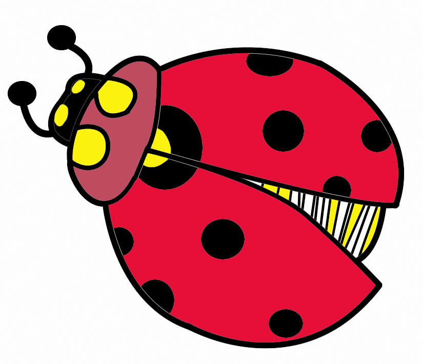 animated insects clipart - photo #28