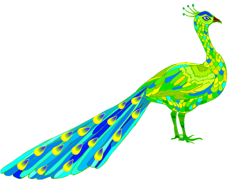 clipart pictures peacock - photo #48