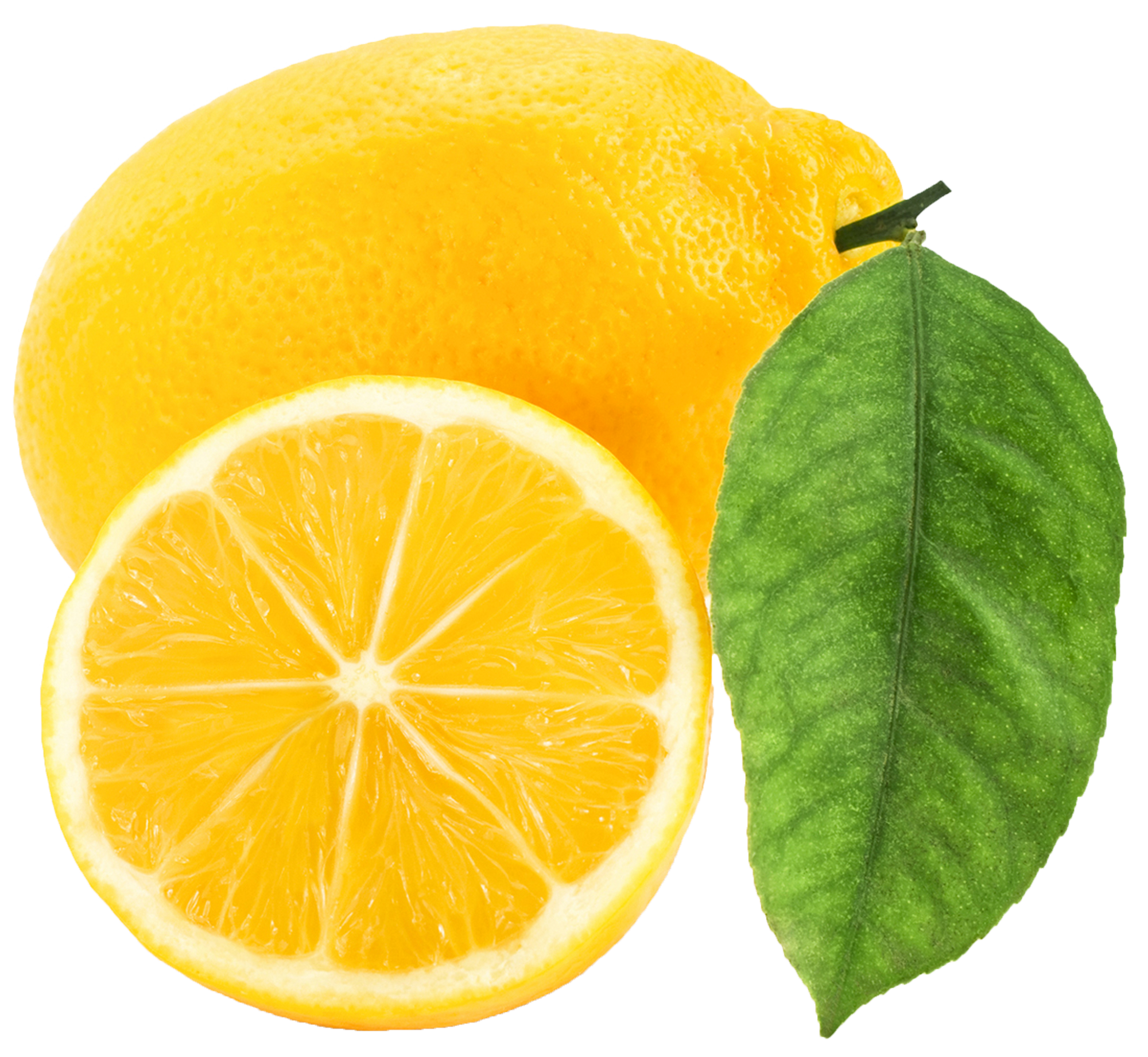 clipart of lemon - photo #35
