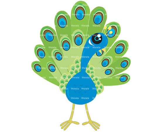 clipart pictures peacock - photo #38
