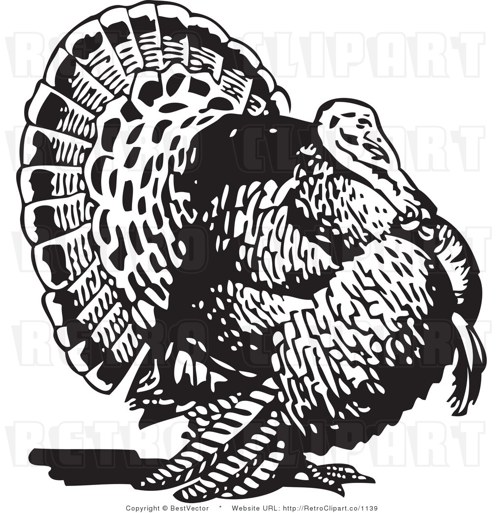 free black and white turkey clipart - photo #8