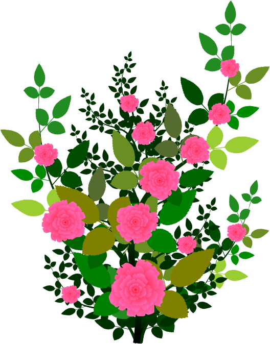 clipart of rose plant - photo #6