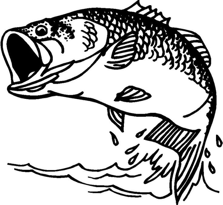 clipart fish black and white - photo #18