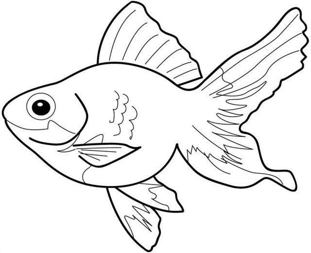 fish clip art free black and white - photo #45