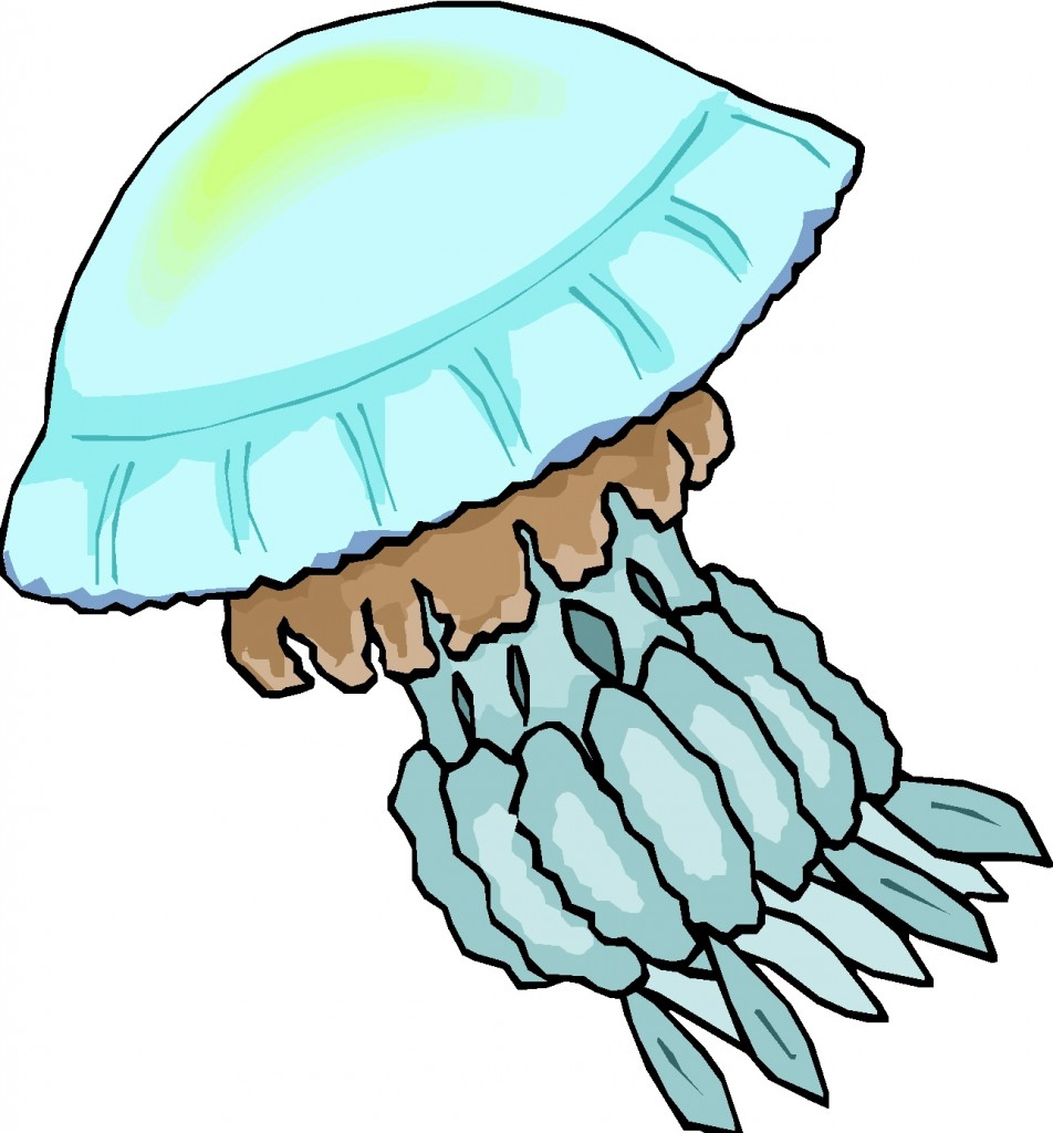 moving jellyfish clipart - photo #29