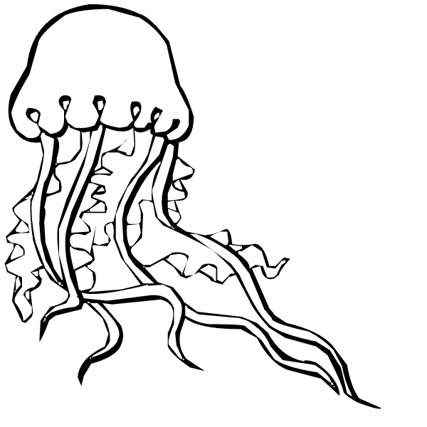 jellyfish cartoon jelly fish clip art at vector clip art