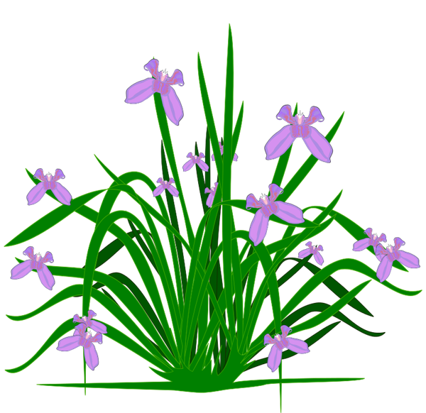 Plant clip art - Cliparting.com