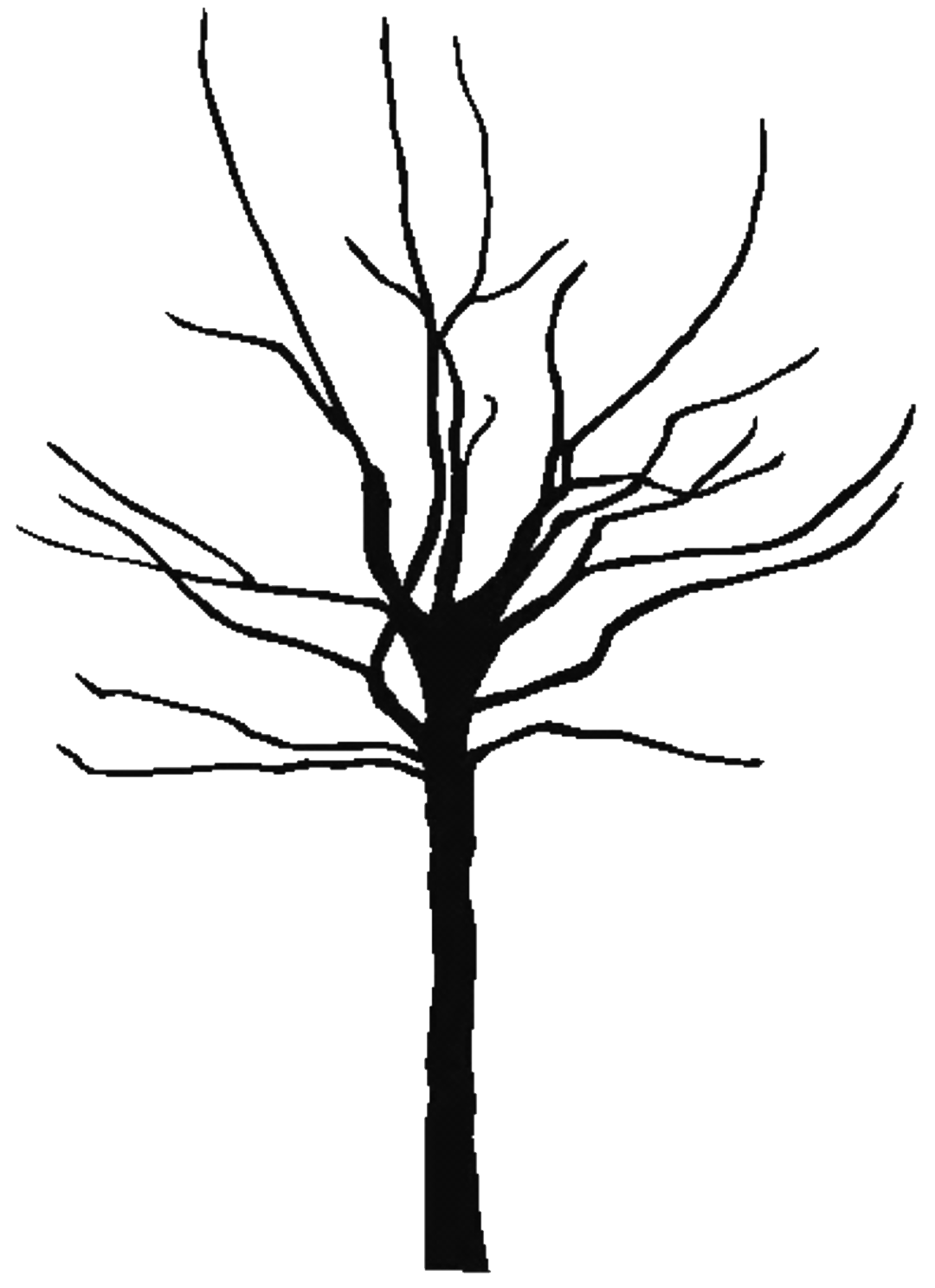 Tree black and white black tree outline free download clip art on