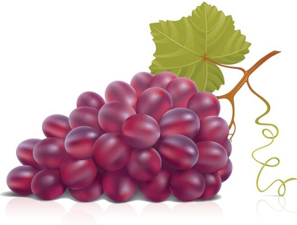 clipart grapes - photo #31