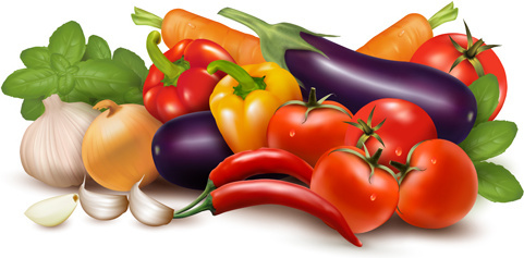 vegetables clip art free download - photo #36