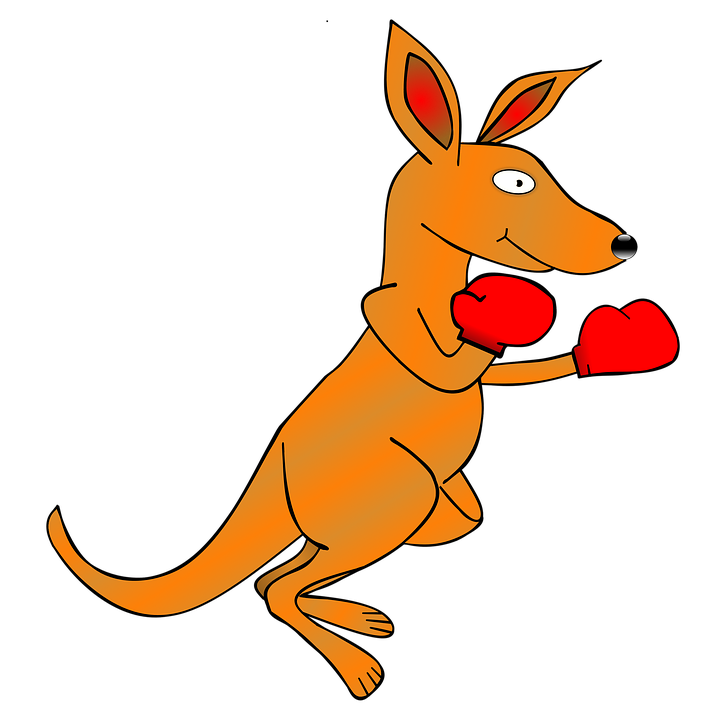 boxing kangaroo clipart - photo #37