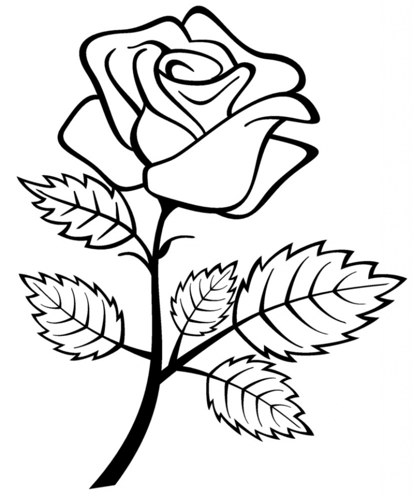 Simple rose drawings free download on jpg - Cliparting.com