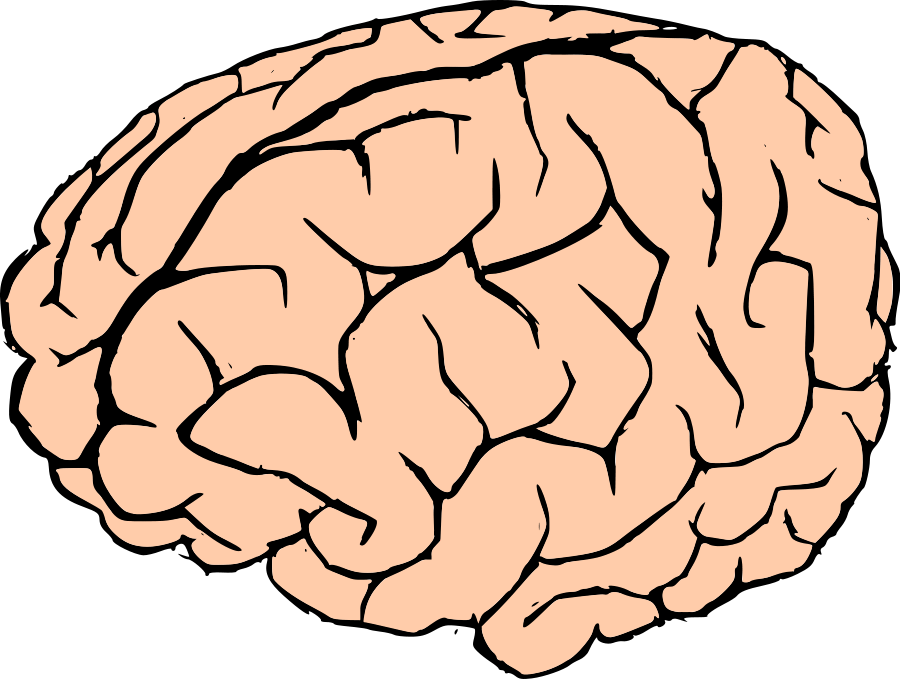 Brain clipart images free clipart images