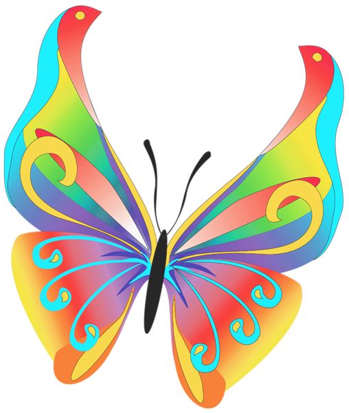 Butterfly art clipart butterflies art