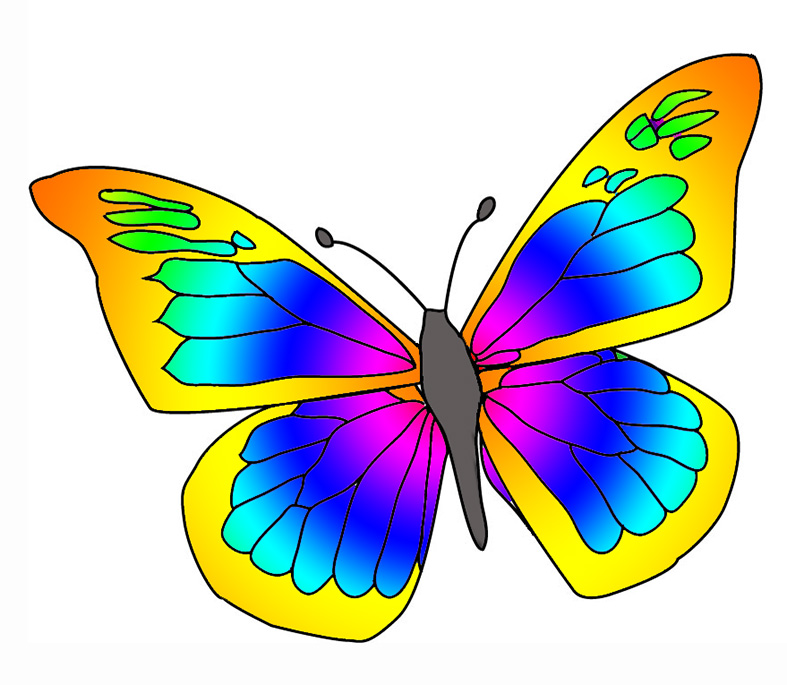 Butterfly clip art at vector clip art clipartcow