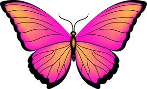 Butterfly clipart butterflies clipartiki 3