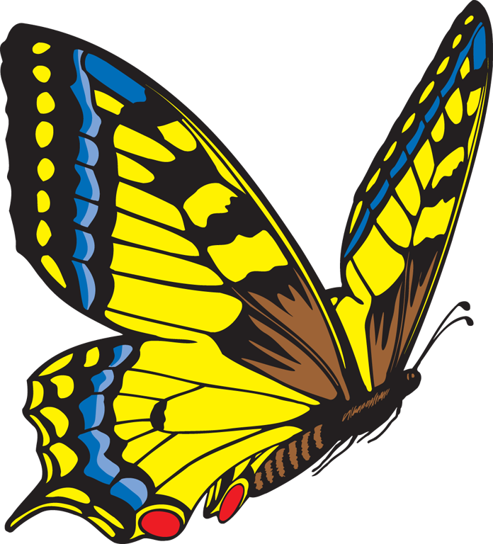 Butterfly clipart free clipart images 4