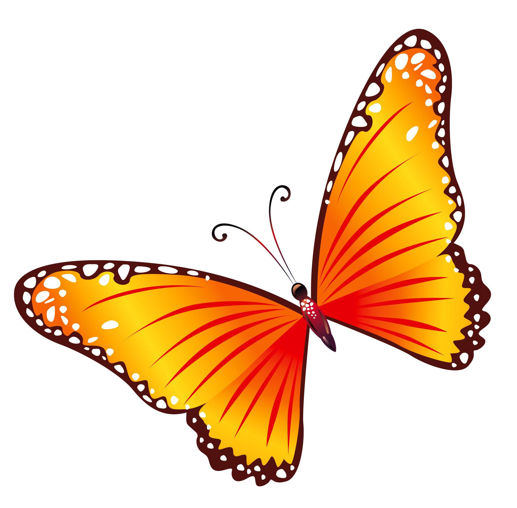 Butterfly clipart free clipart images clipartcow 2