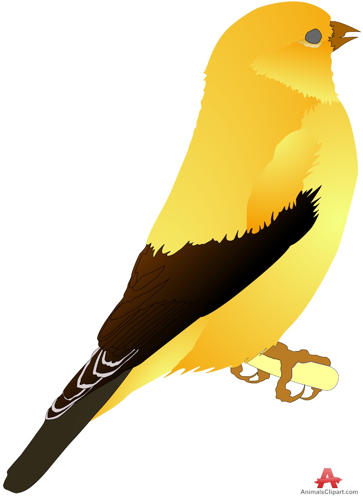 Canary yellow bird clipart free clipart design download