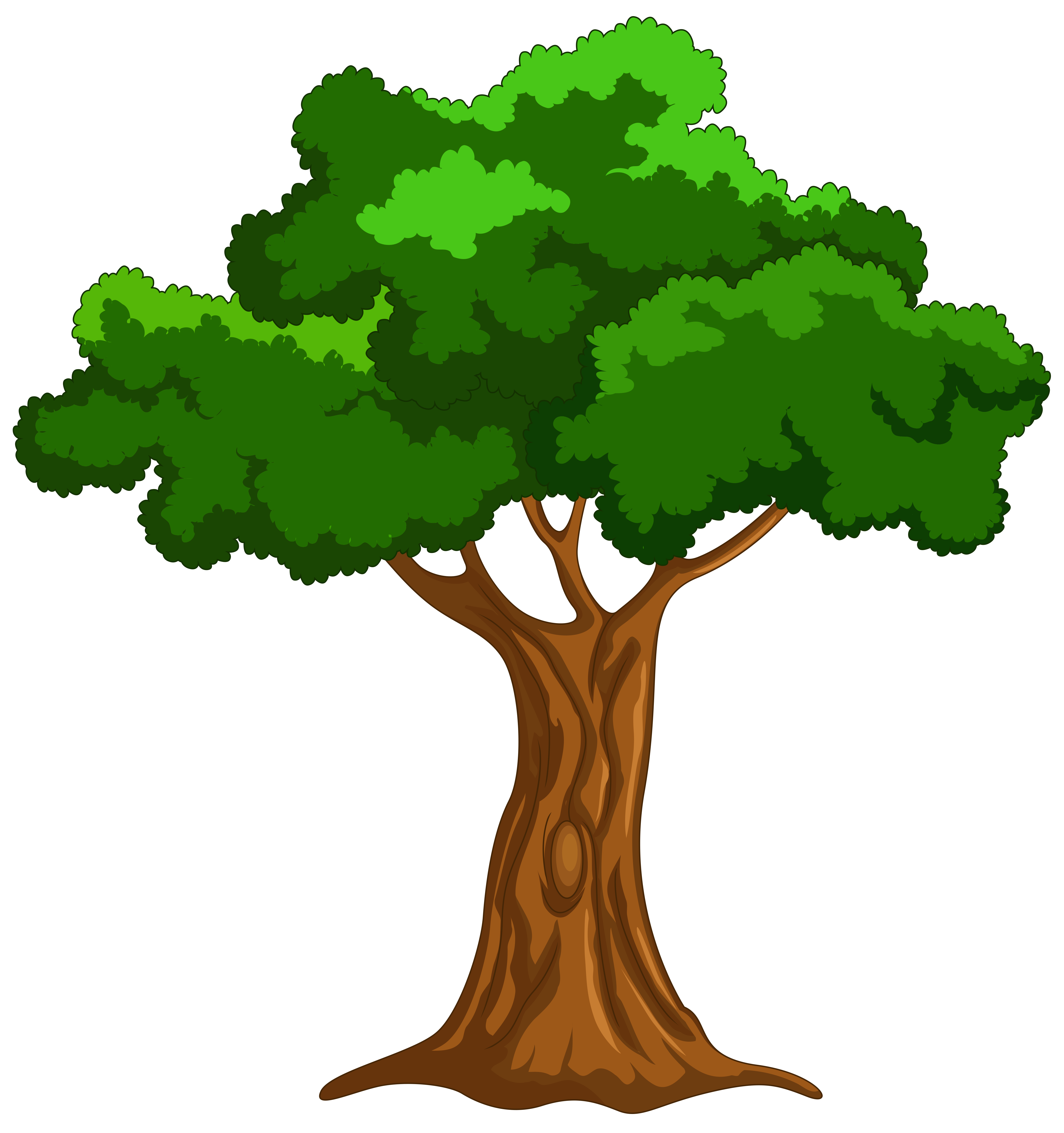 Cartoon tree clip art web clipart