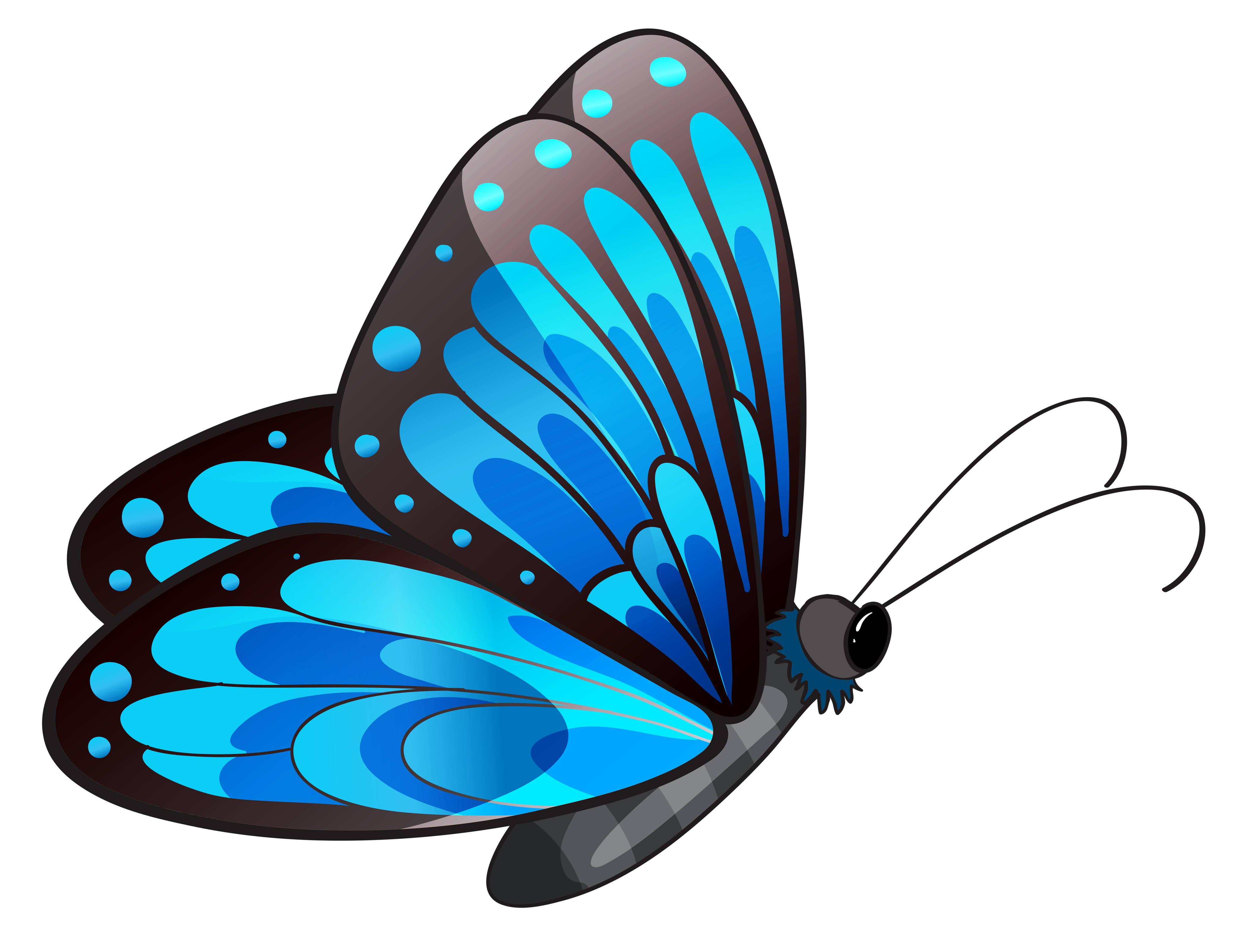 Clip art butterfly clipartiki 2