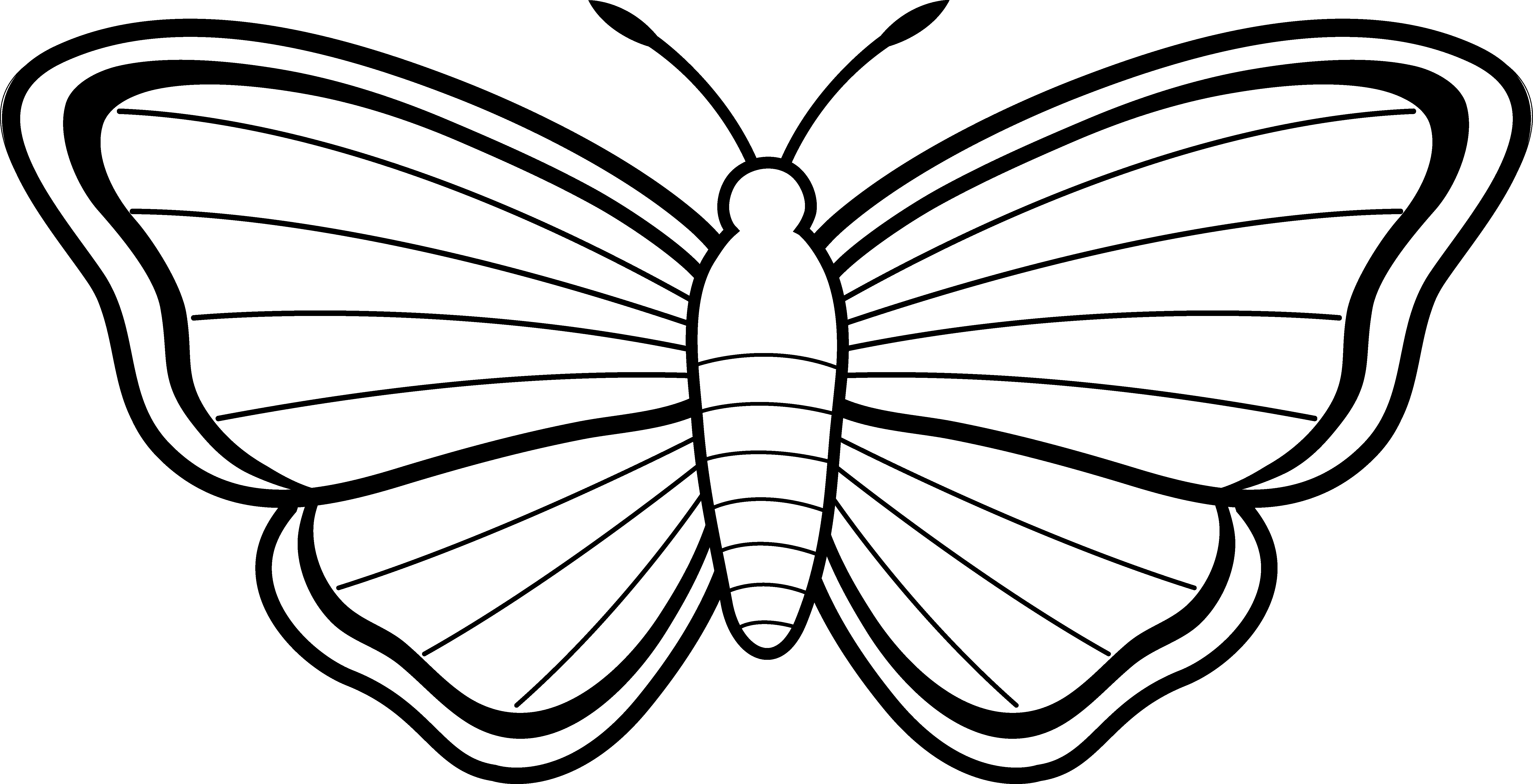 Clipart butterfly outline free clipart images 3