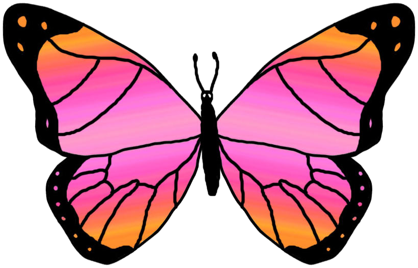 Clipart butterfly outline free clipart images